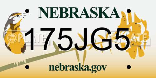 175JG5 Nebraska License Plate