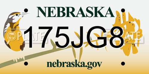 175JG8 Nebraska License Plate