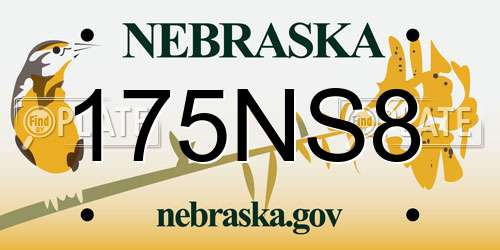 175NS8 Nebraska License Plate