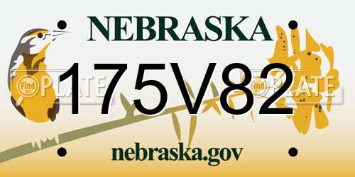 175V82 Nebraska License Plate