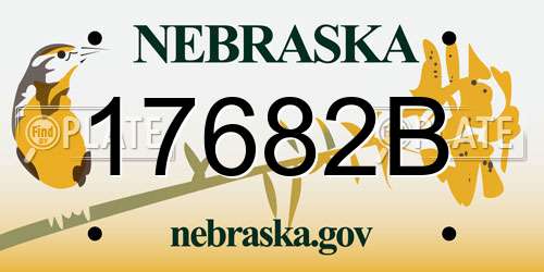 17682B Nebraska License Plate
