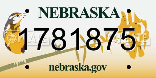1781875 Nebraska License Plate