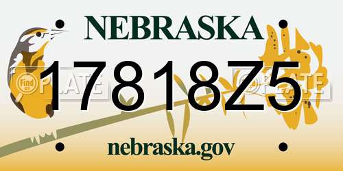 17818Z5 Nebraska License Plate