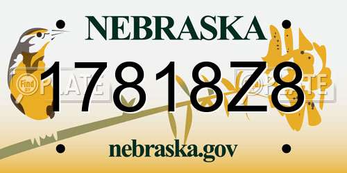 17818Z8 Nebraska License Plate