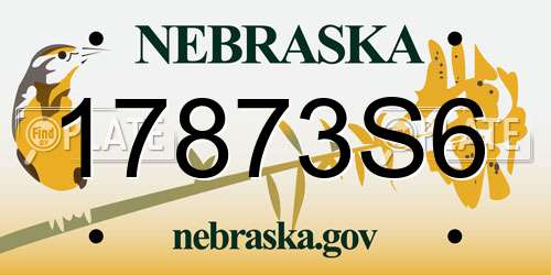 17873S6 Nebraska License Plate