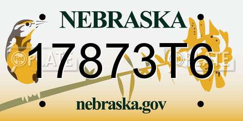 17873T6 Nebraska License Plate