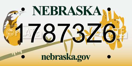 17873Z6 Nebraska License Plate