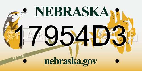 17954D3 Nebraska License Plate