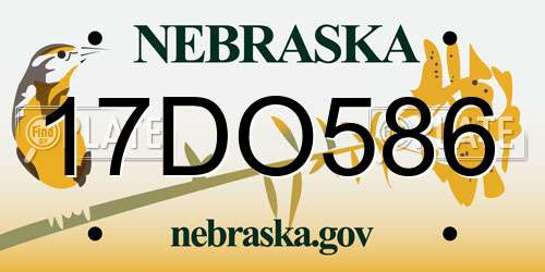 17DO586 Nebraska License Plate