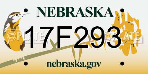 17F293 Nebraska License Plate