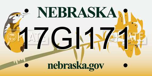 17GI171 Nebraska License Plate
