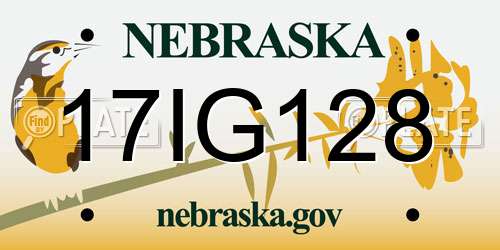 17IG128 Nebraska License Plate