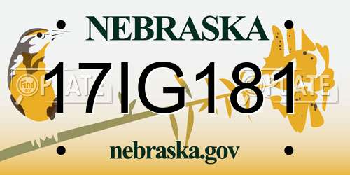 17IG181 Nebraska License Plate