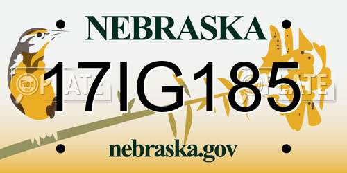 17IG185 Nebraska License Plate