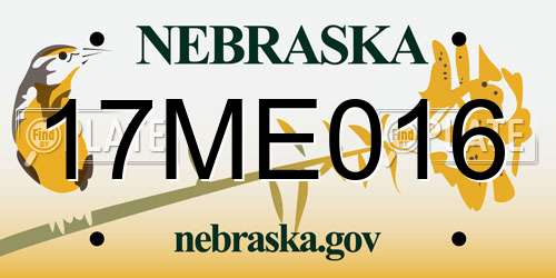 17ME016 Nebraska License Plate