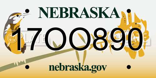17OO890 Nebraska License Plate