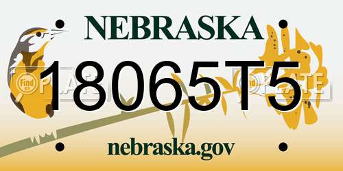 18065T5 Nebraska License Plate