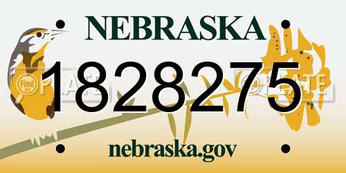 1828275 Nebraska License Plate