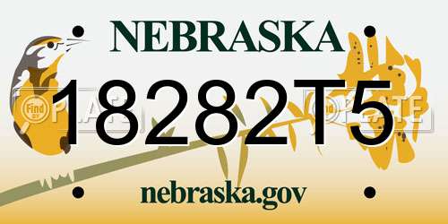 18282T5 Nebraska License Plate