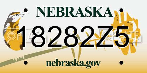 18282Z5 Nebraska License Plate