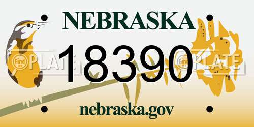 18390 Nebraska License Plate
