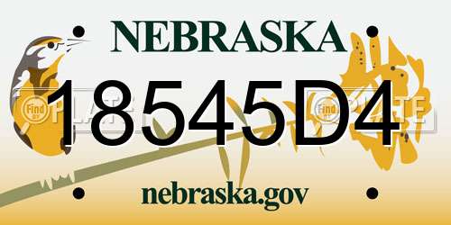 18545D4 Nebraska License Plate