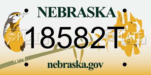 18582T Nebraska License Plate