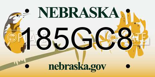 185GC8 Nebraska License Plate