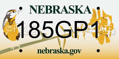 185GP1 Nebraska License Plate