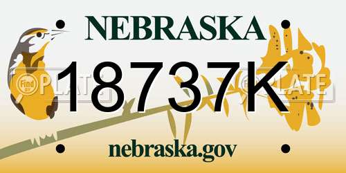 18737K Nebraska License Plate