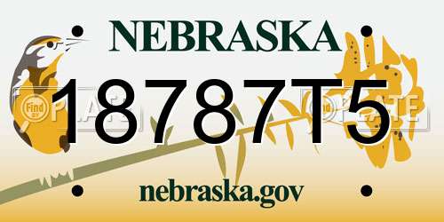 18787T5 Nebraska License Plate