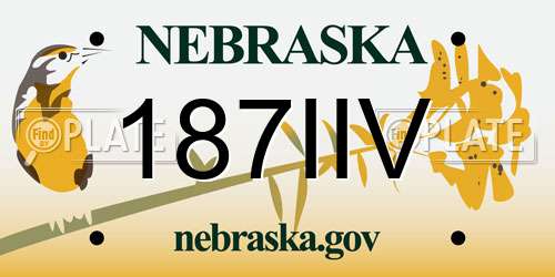 187IIV Nebraska License Plate