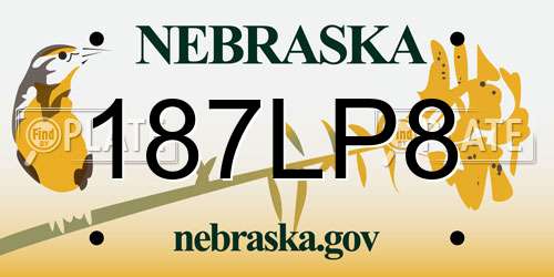 187LP8 Nebraska License Plate