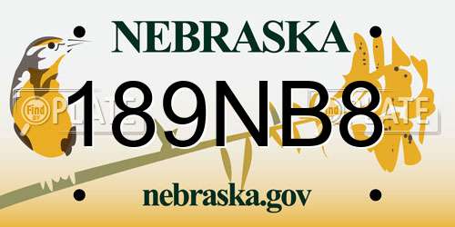 189NB8 Nebraska License Plate