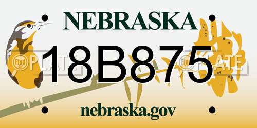 18B875 Nebraska License Plate