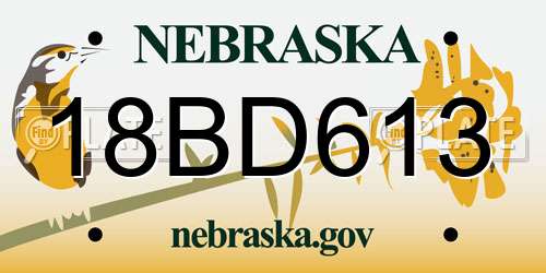 18BD613 Nebraska License Plate