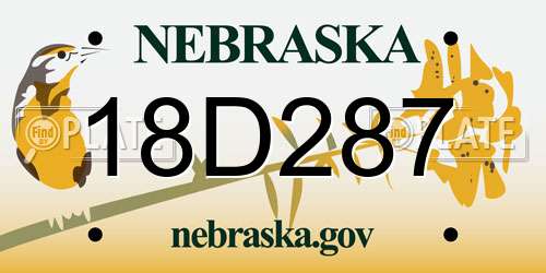 18D287 Nebraska License Plate