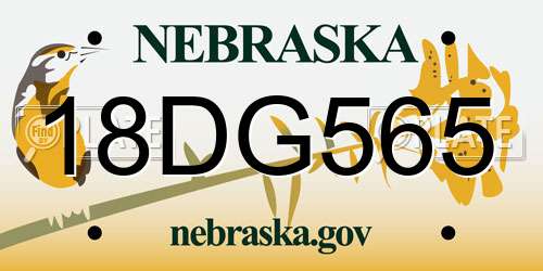 18DG565 Nebraska License Plate