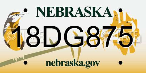 18DG875 Nebraska License Plate