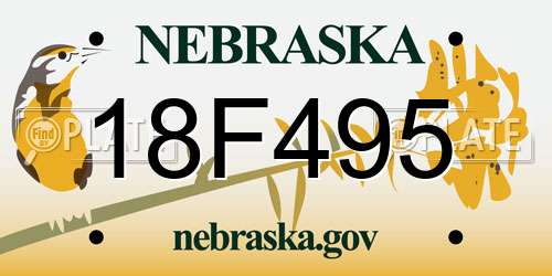 18F495 Nebraska License Plate