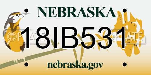18IB531 Nebraska License Plate