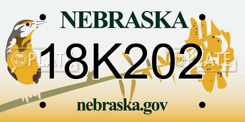 18K202 Nebraska License Plate