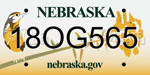 18OG565 Nebraska License Plate