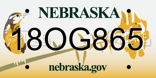 18OG865 Nebraska License Plate