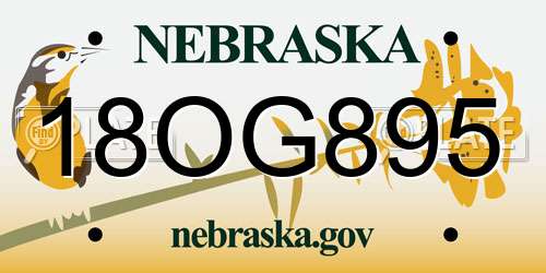 18OG895 Nebraska License Plate