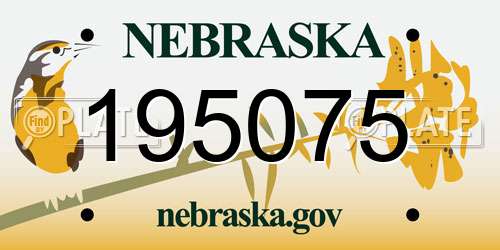 195075 Nebraska License Plate