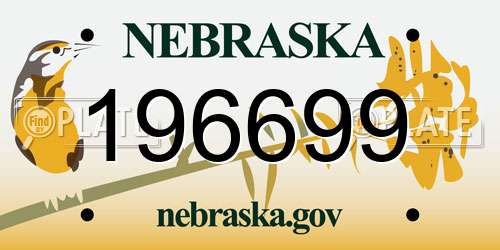 196699 Nebraska License Plate