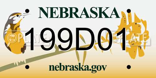 199D01 Nebraska License Plate