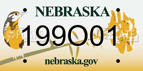 199O01 Nebraska License Plate