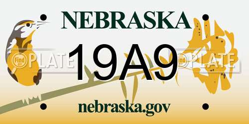 19A9 Nebraska License Plate